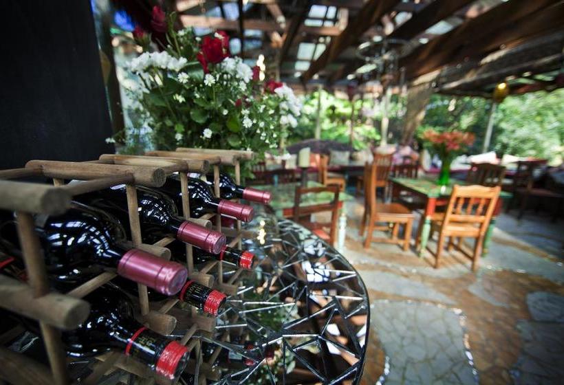 Hotel The Rabbit Hole 7