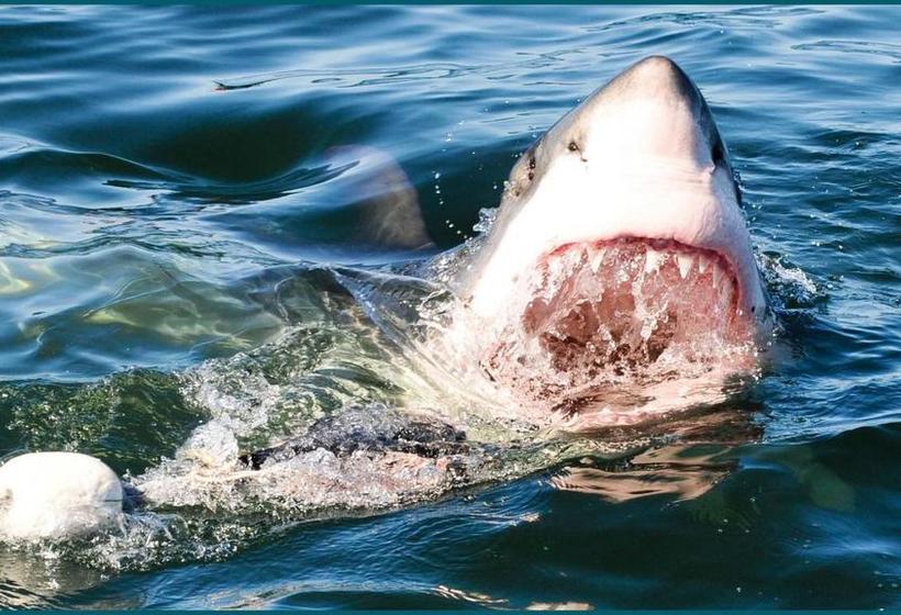 Bed and Breakfast The Bay Lodge 3