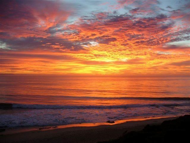 Hotel Shaloha Guesthouse On Supertubes Jeffreys Bay Eastern Cape