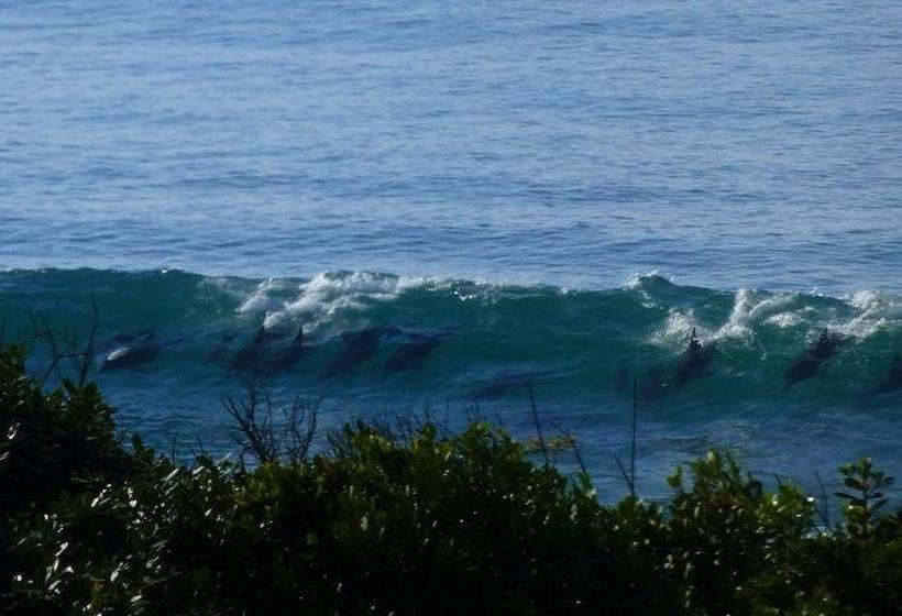 Hotel Shaloha Guesthouse On Supertubes 3