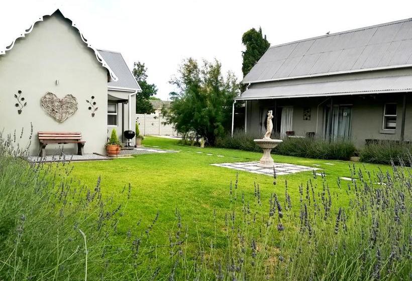 Tranquil House Bed & Breakfast