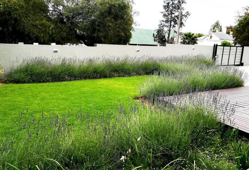 Tranquil House Bed & Breakfast 4