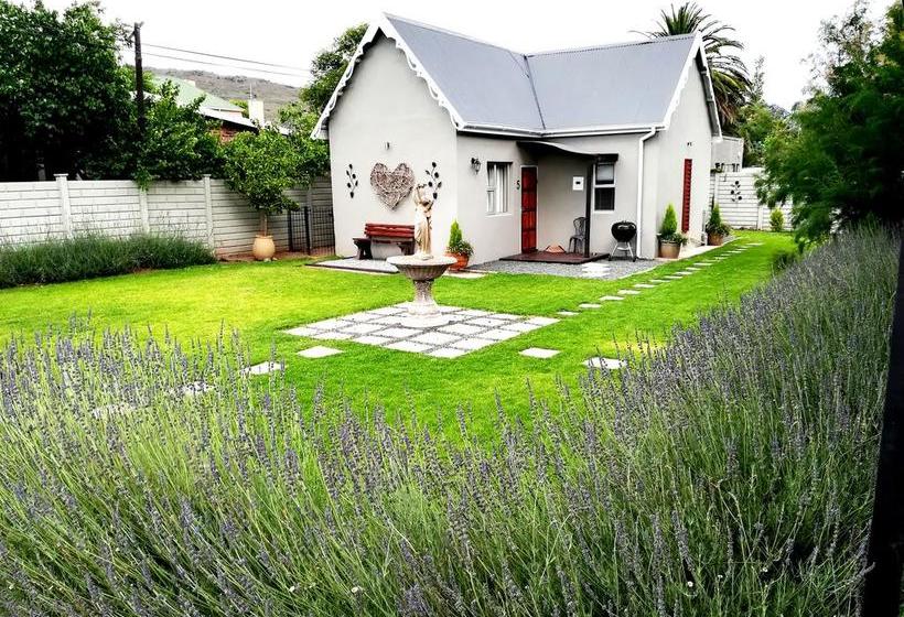 Tranquil House Bed & Breakfast 5