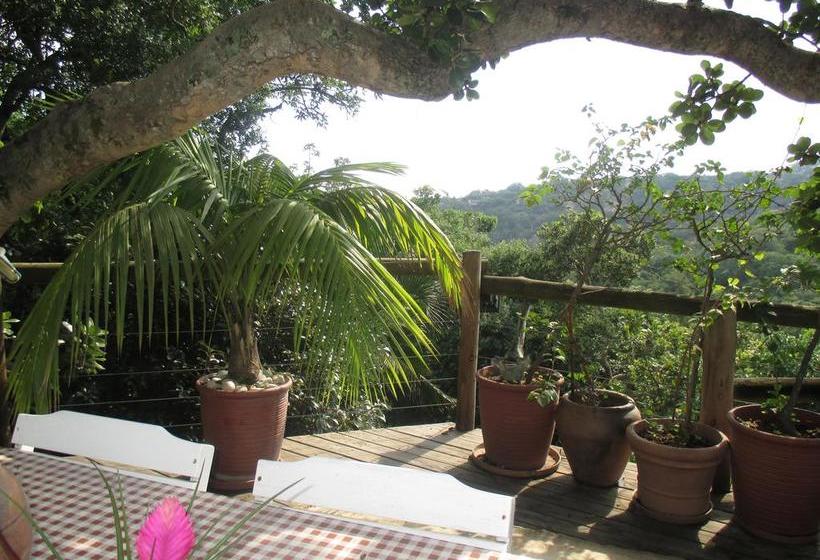 Bed and Breakfast Utopia In Africa Guest Villa 8