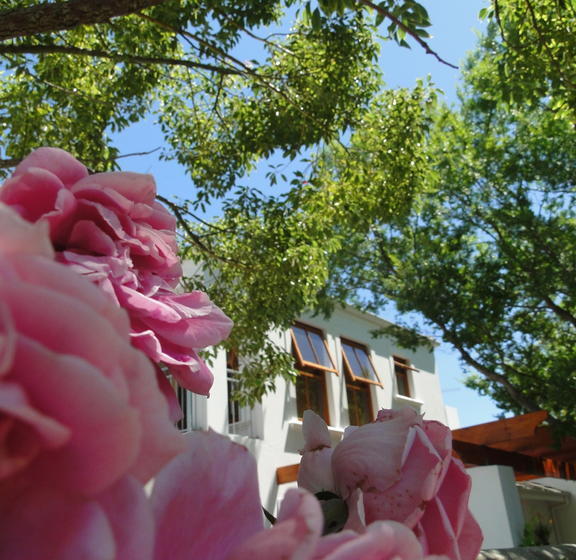 Bed and Breakfast Penelope S Guesthouse 14