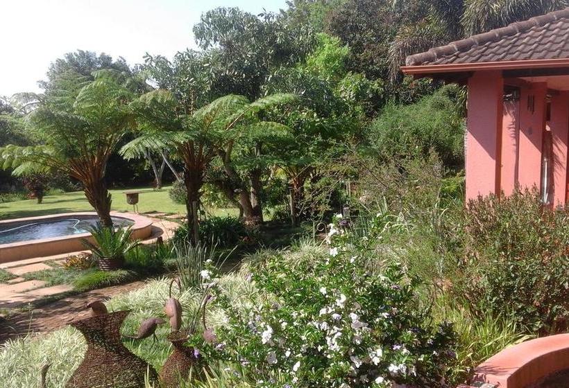 Bed and Breakfast Ambience Inn