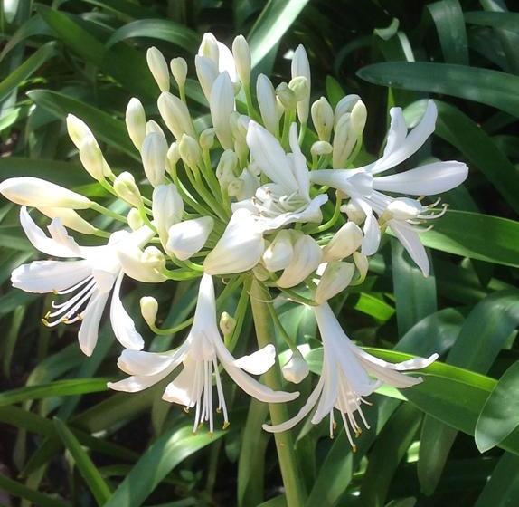 Hotel Old Mill Guest House & Restaurant 15