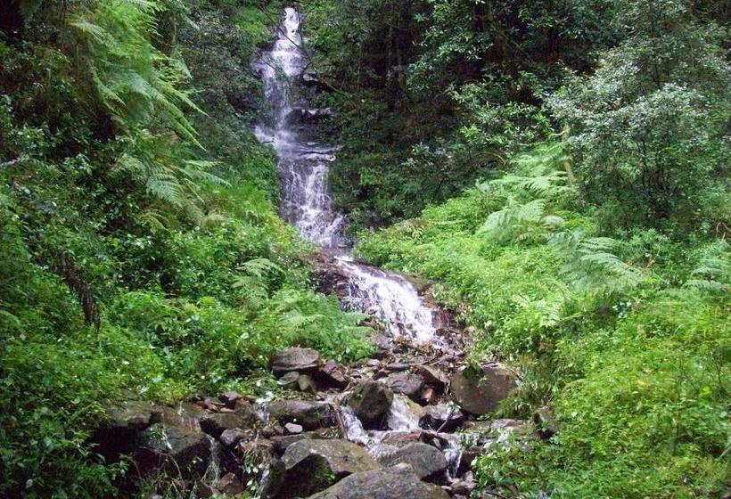 The Manderson Hotel And Conference Centre 10