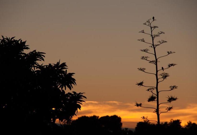 The Manderson Hotel And Conference Centre 14