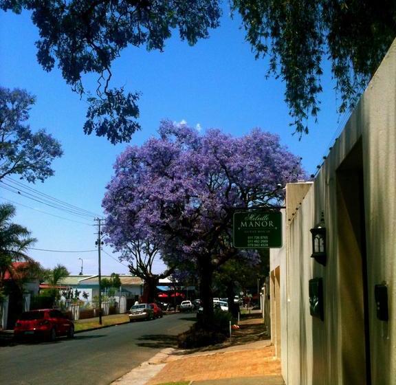 Hostel Melville Manor Guest House 17