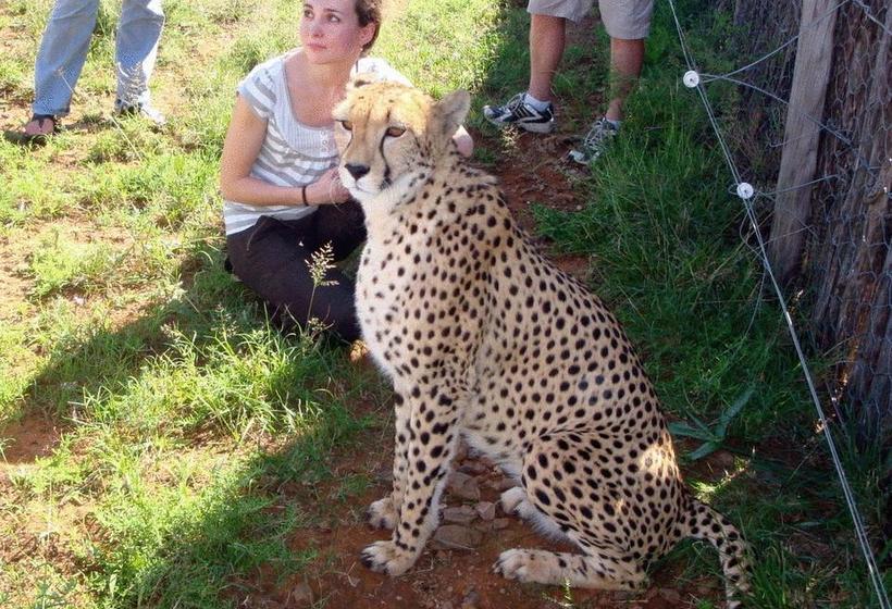 Hostel Kronenhoff Guesthouse 4