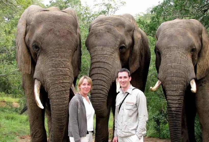 Hostel Kronenhoff Guesthouse 6