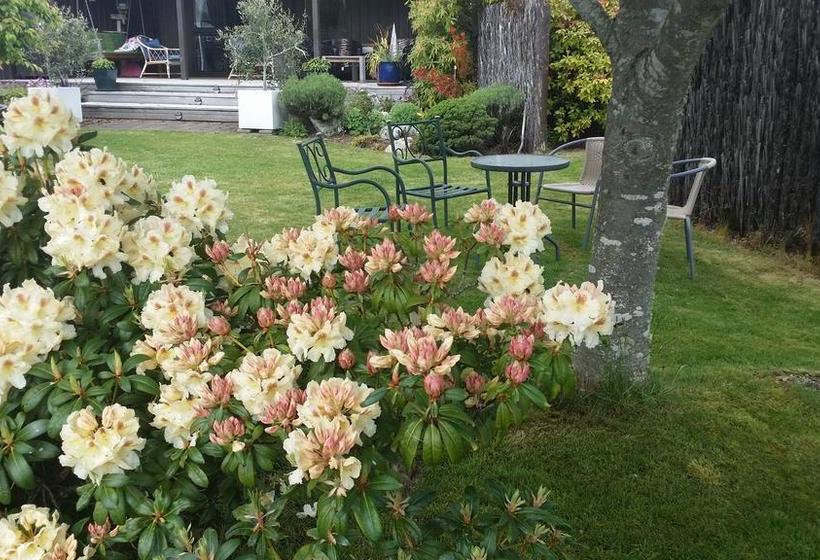 Bed & Breakfast Alpine Rock Cottage 6