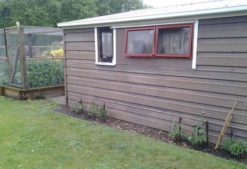 Abundante B&b On 8 Marlowe 10