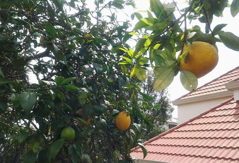 Abundante B&b On 8 Marlowe 15