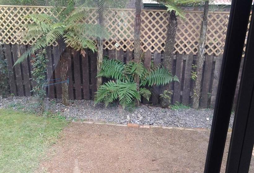 Abundante B&b On 8 Marlowe 17