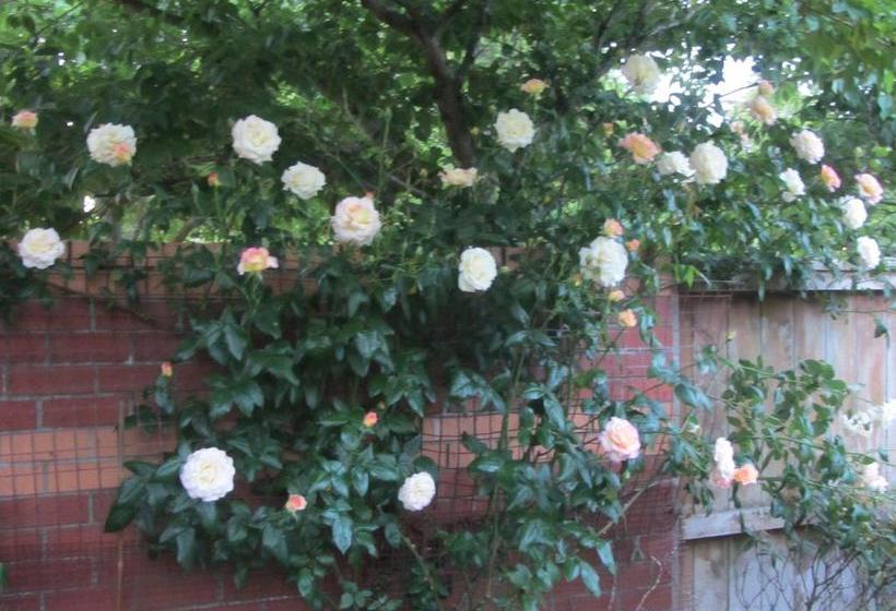 Airport Stableford B&b 4