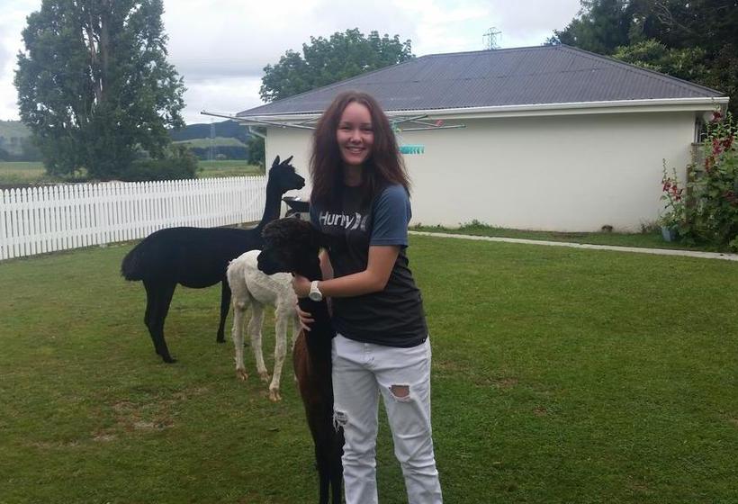 The Homestead B&b Isla Norte