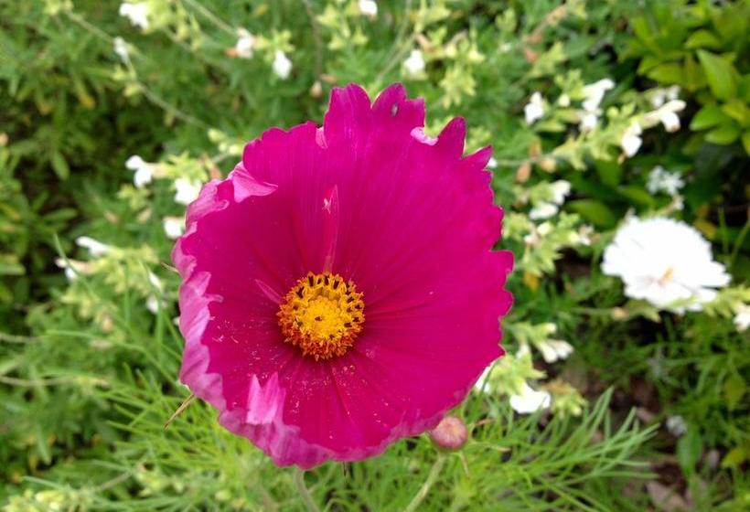 Bed and Breakfast Boutique On Briarley 10