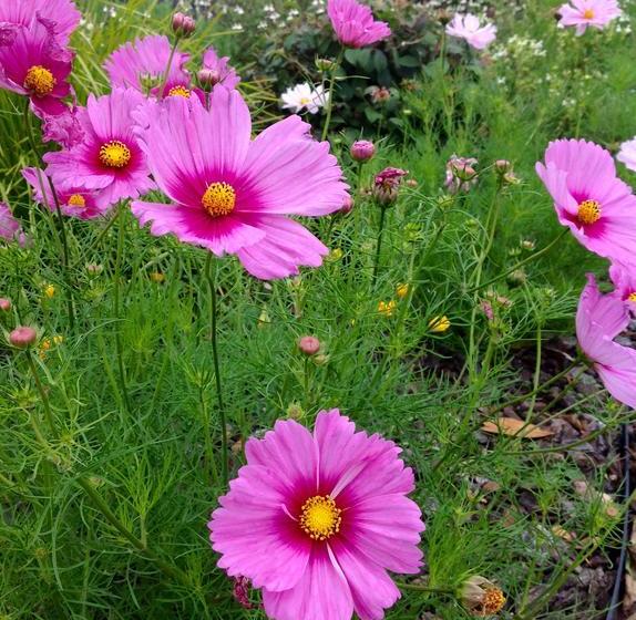 Bed and Breakfast Boutique On Briarley 11