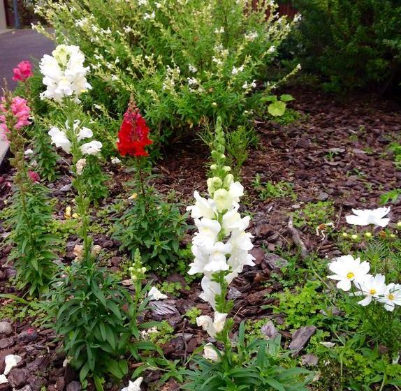 Bed and Breakfast Boutique On Briarley 12