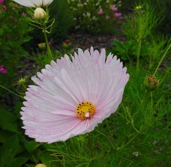 Bed and Breakfast Boutique On Briarley 13