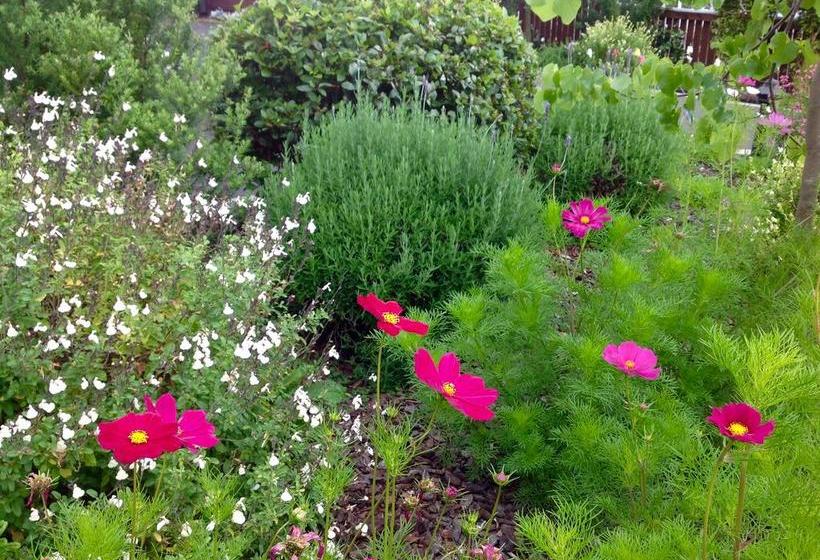 Bed and Breakfast Boutique On Briarley 8