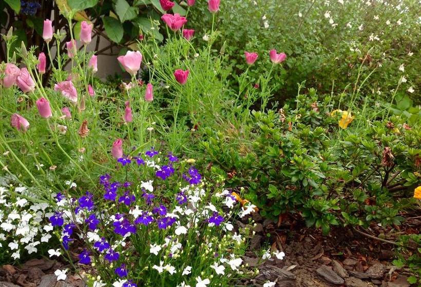 Bed and Breakfast Boutique On Briarley 9