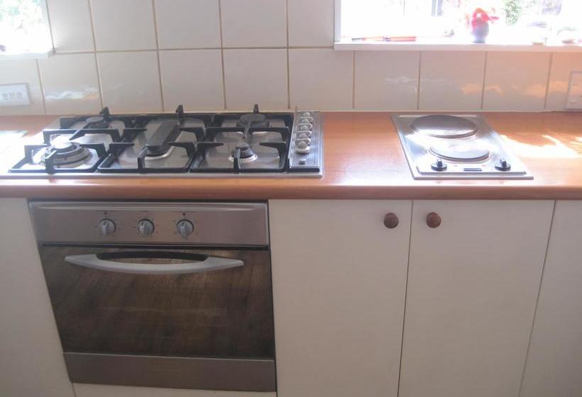 Hostel Canterbury House Backpackers 8