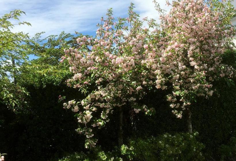 Dunnolly Vineyard Bed & Breakfast 12