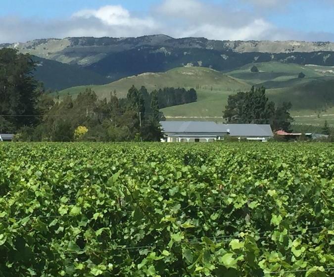 Dunnolly Vineyard Bed & Breakfast 13