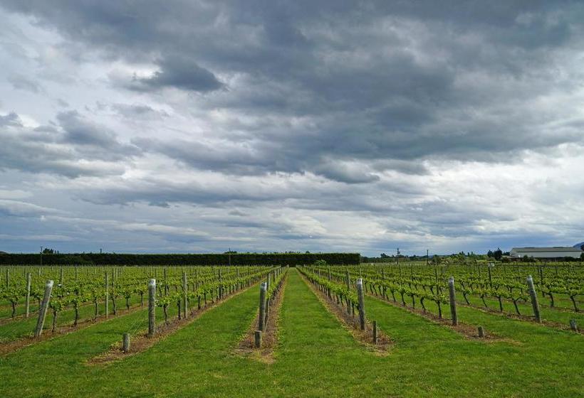 Dunnolly Vineyard Bed & Breakfast 8