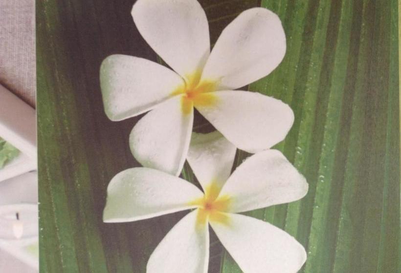 Te Moana Bed & Breakfast 4