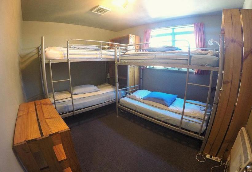 Kiwi House Hostel 1