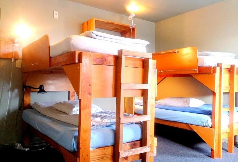 Kiwi House Hostel 15