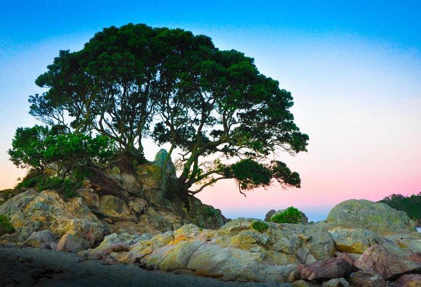 Aqua Beachfront Motel 16