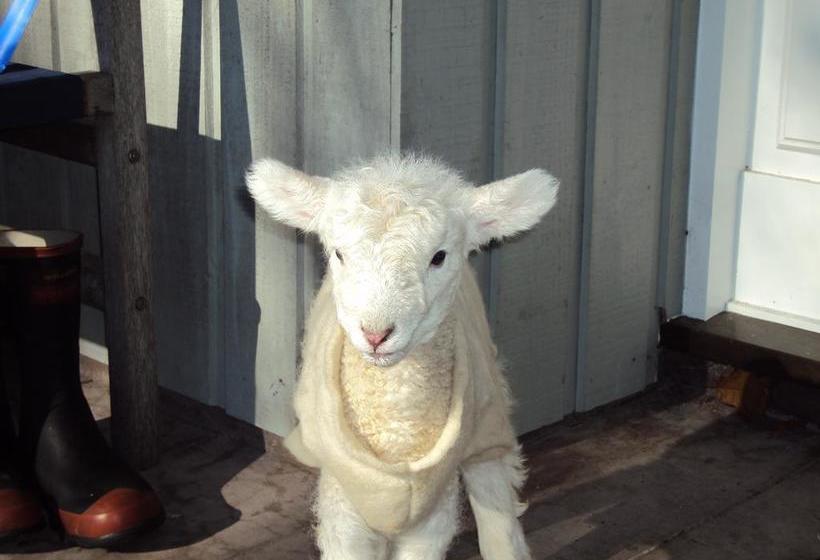 Dalbeth B & B And Farmstay 8