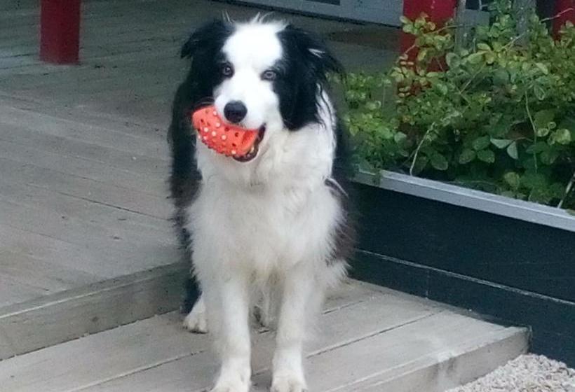 Mahinapua Retreat B&b Hokitika South Island