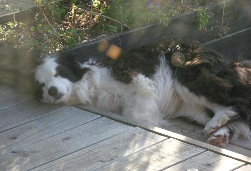 Mahinapua Retreat B&b 2