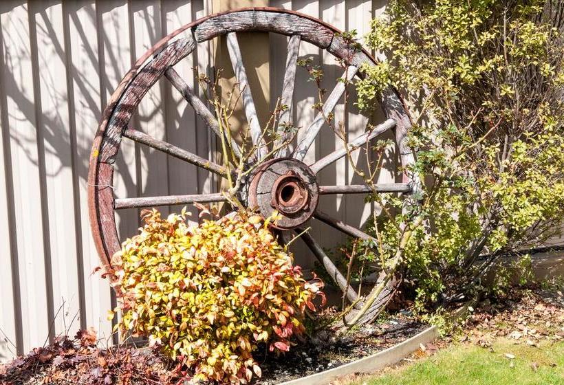 Bed and Breakfast Argyll On Clyde 9