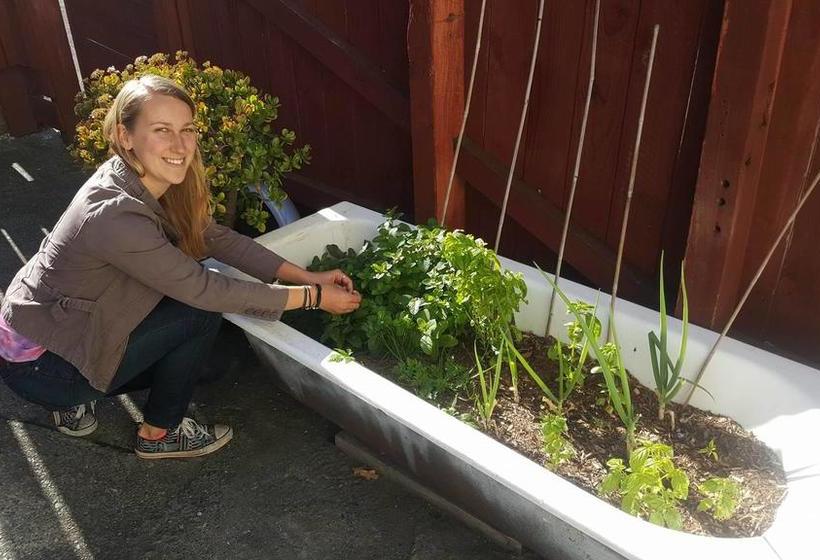 Hostel Toad Hall Backpackers 16