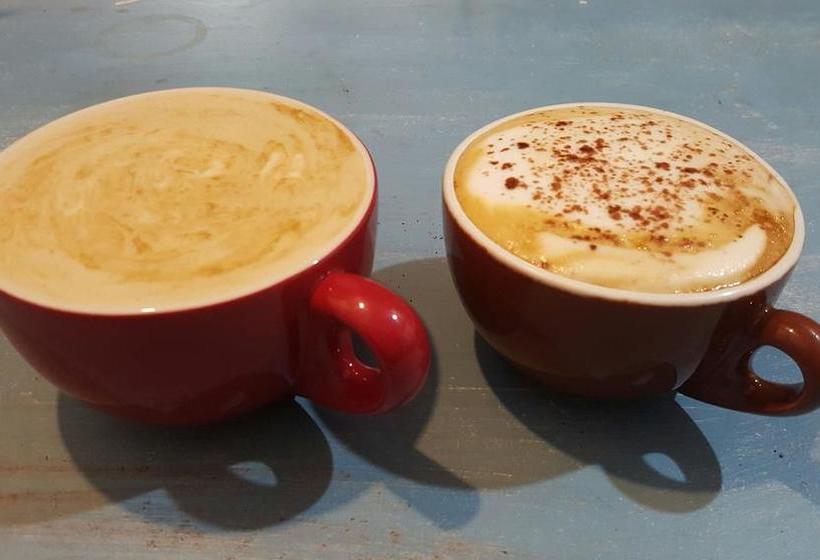 Hostel Toad Hall Backpackers 3