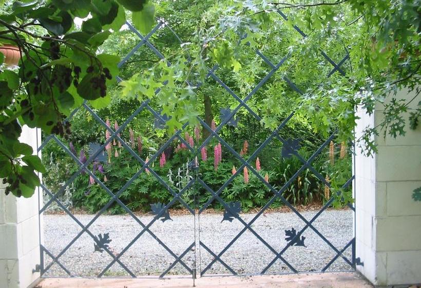 Bed and Breakfast Oakhampton Lodge 7