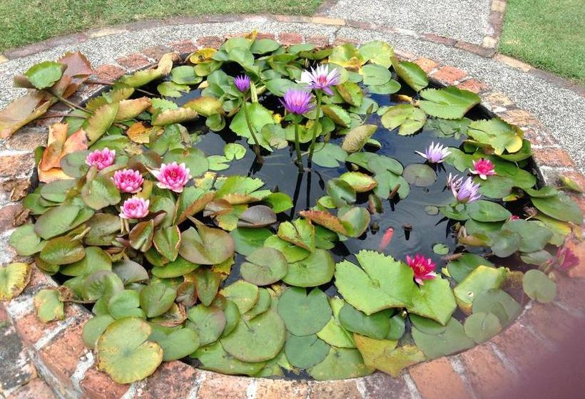 Bed and Breakfast Rosebrook Country Homestead 14