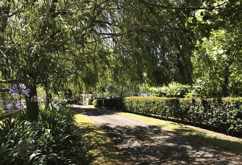 Bed and Breakfast Rosebrook Country Homestead 7