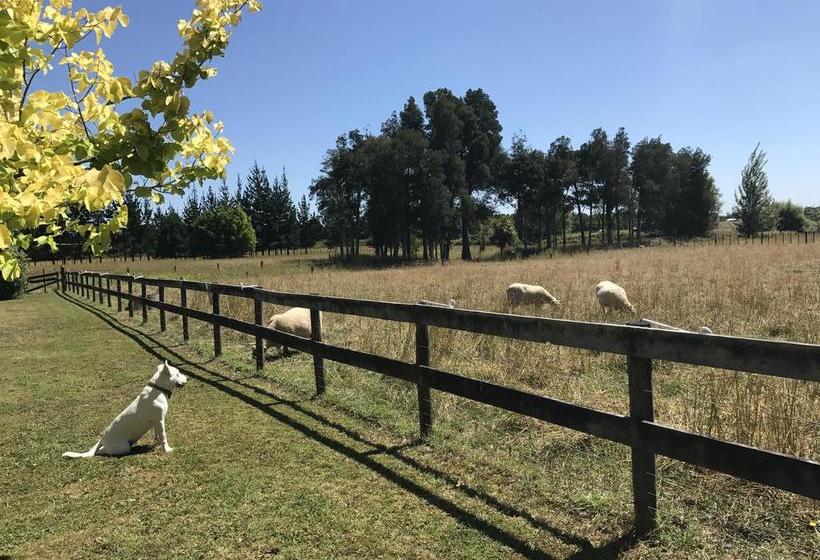 Bed and Breakfast Rosebrook Country Homestead 9
