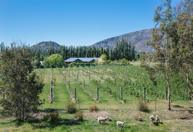 Wanaka Berry Farm And B&b 18