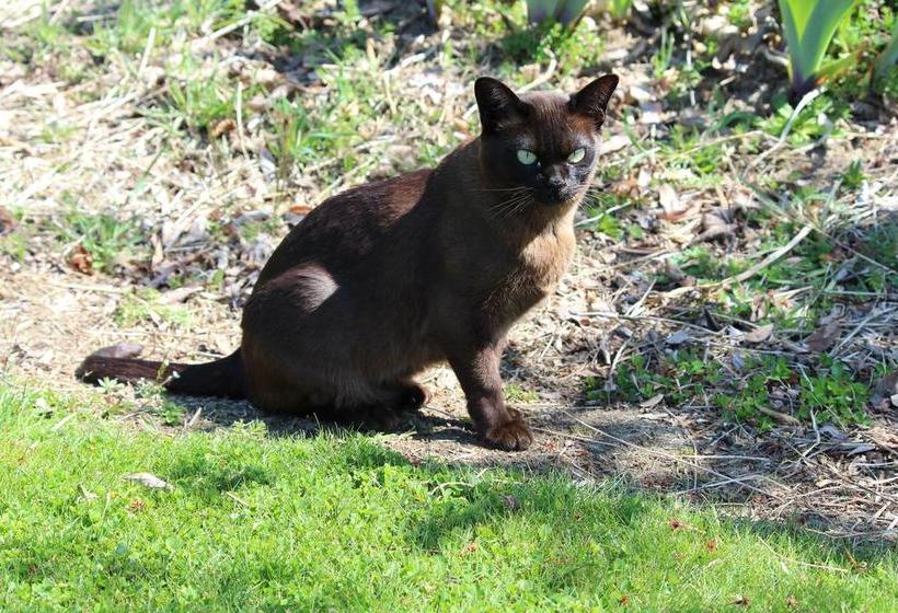 Wanaka Berry Farm And B&b 2