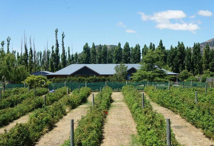 Wanaka Berry Farm And B&b 8