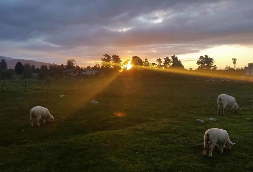 Ropatinis Homestay B&b 13